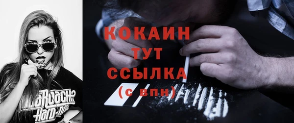 кокс Вяземский
