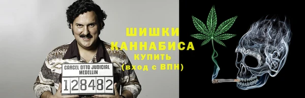 шишки Нефтегорск