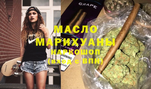 твердый Новодвинск