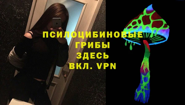 стафф Нефтекумск