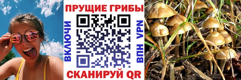 Псилоцибиновые грибы Psilocybine cubensis  дарнет шоп  маркетплейс состав  Мышкин 