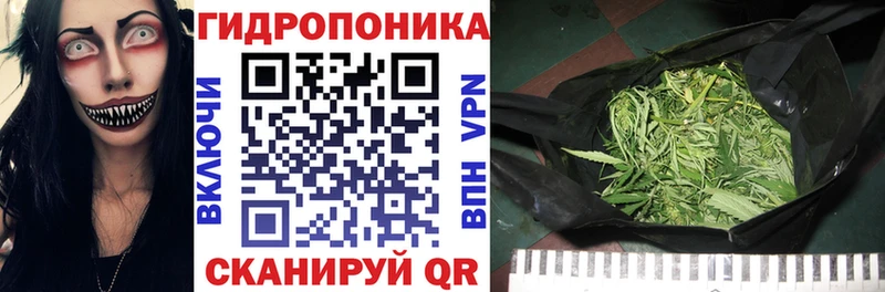 Конопля Amnesia  гидра ССЫЛКА  Мышкин 